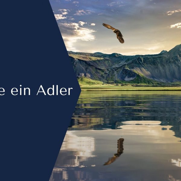 Silke_Sehen
